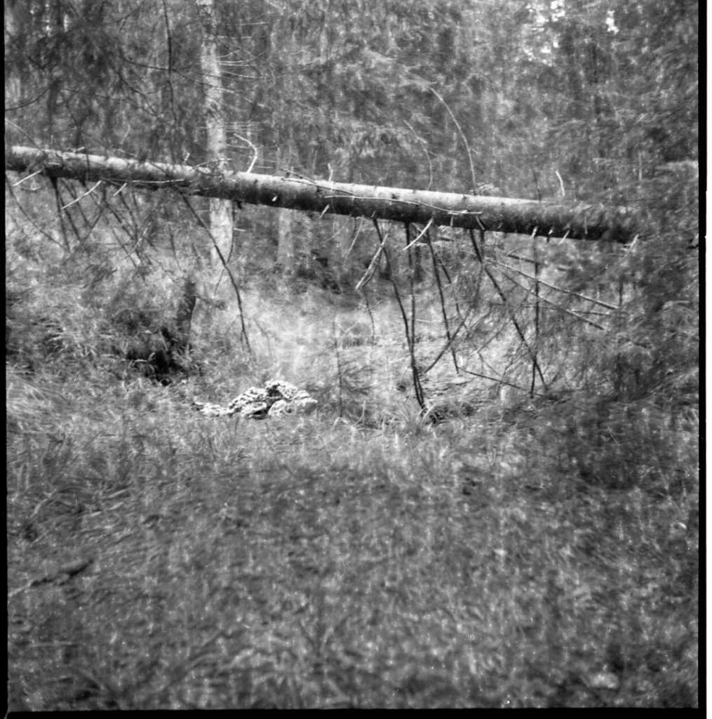 img365 (Large)