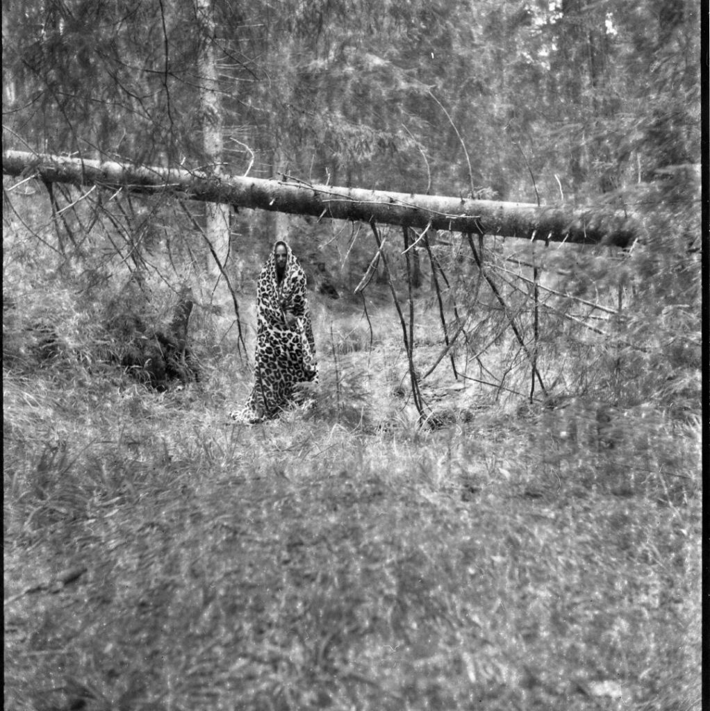 img366 (Large)