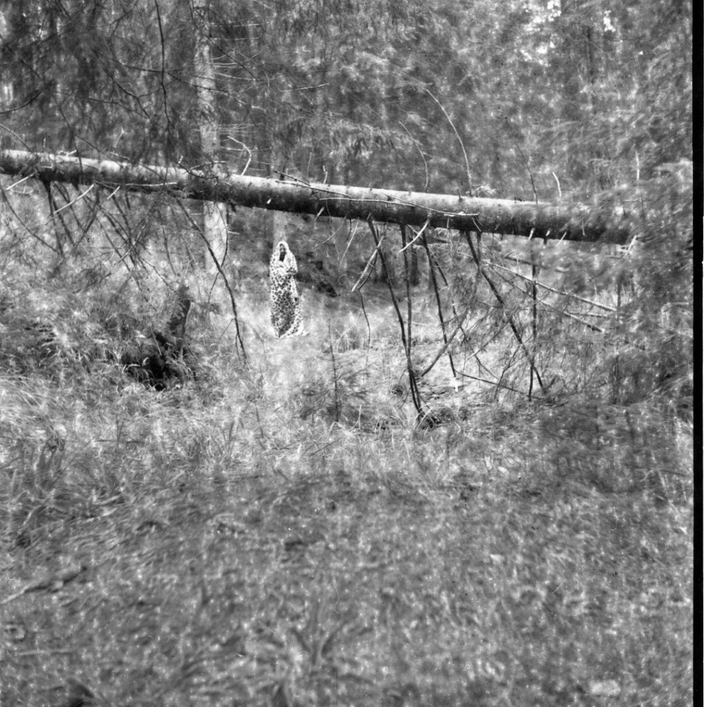 img371 (Large)