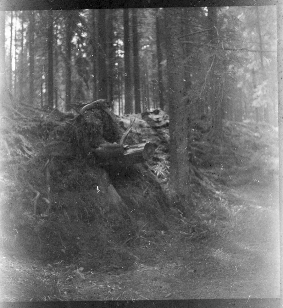 img374 (Large)