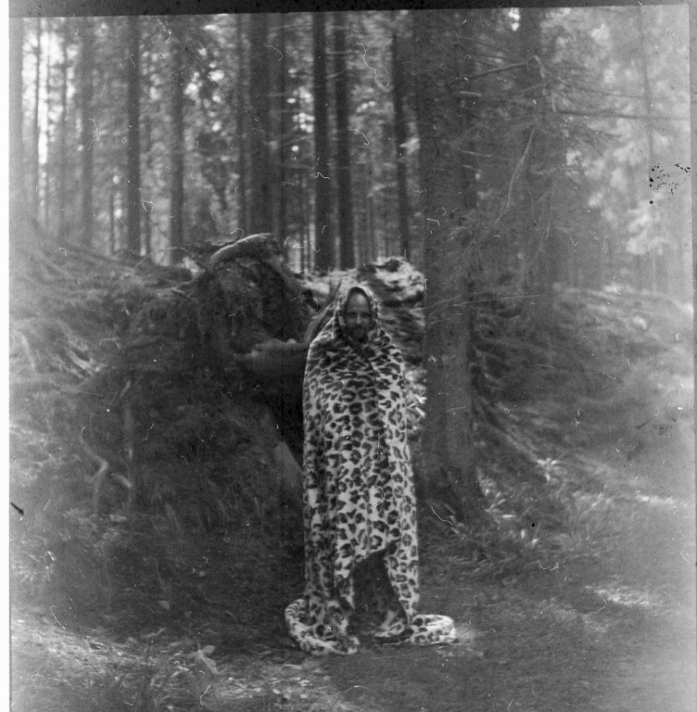 img375 (Large)