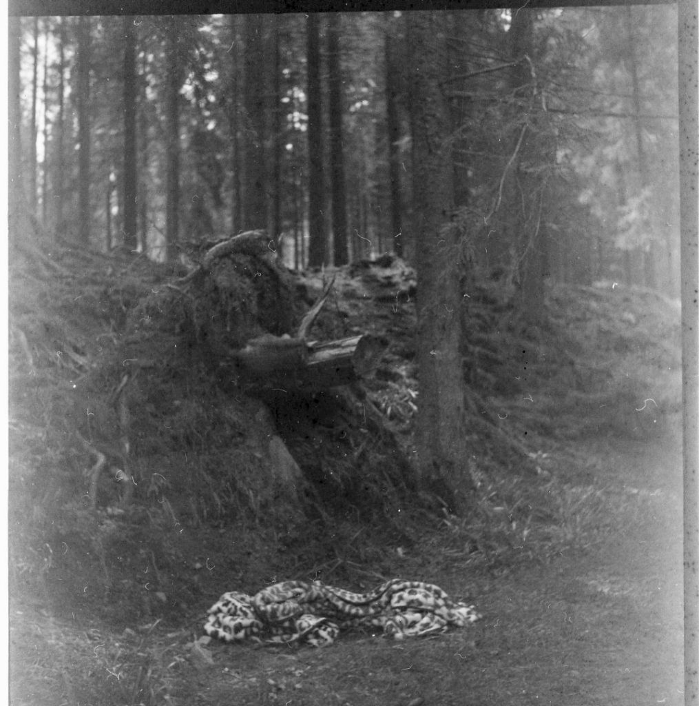 img376 (Large)