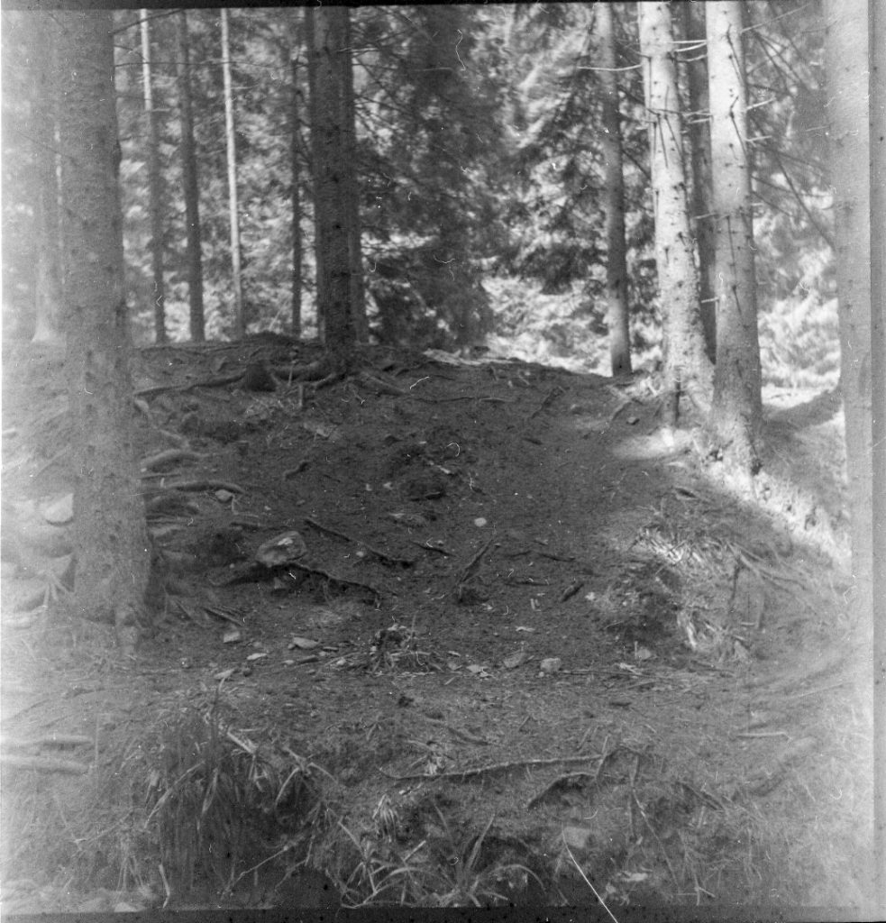 img383 (Large)