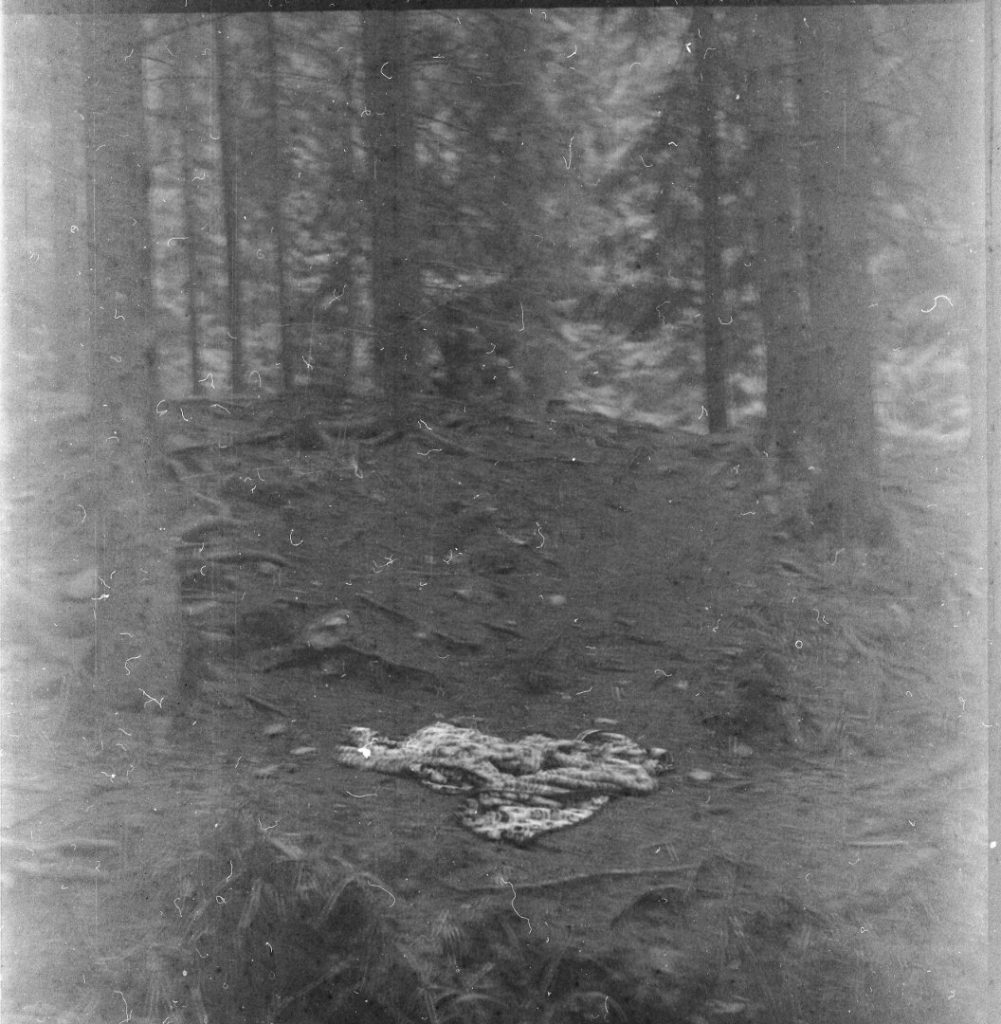 img385 (Large)
